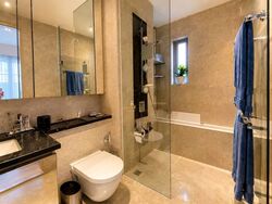 The Boutiq (D9), Apartment #580296651